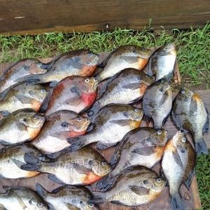 Meet your Posher, Terry